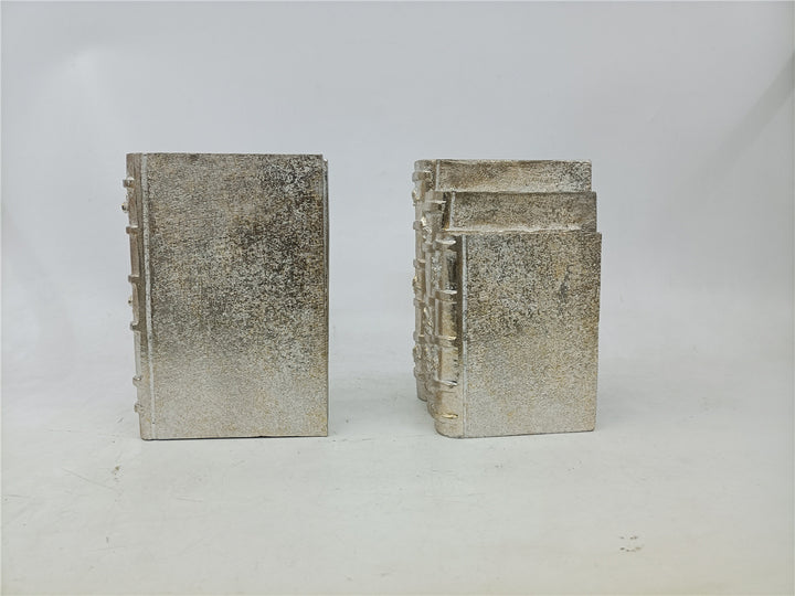 Champagne Silver Fake Books/Book ends