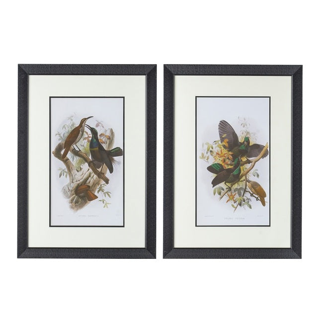 Birds Wall Art set of 2